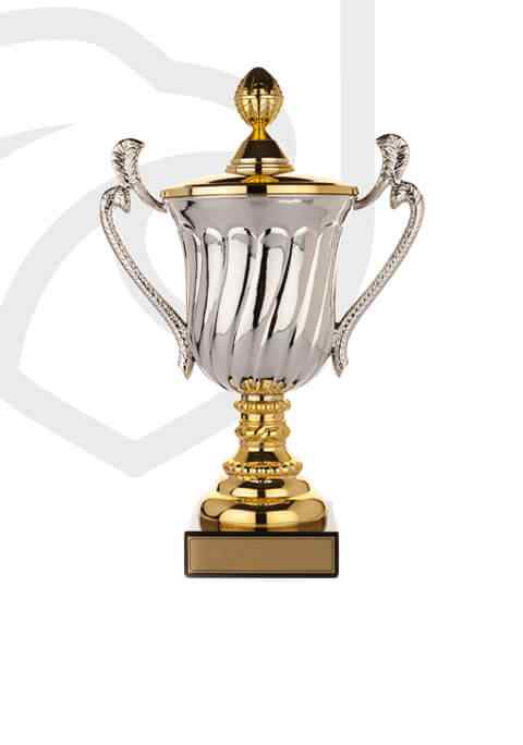 https://ssdcolognese.it/wp-content/uploads/2022/11/trophy_overlay_02.jpg